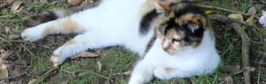 60872633_test_media_1881x591.jpg
